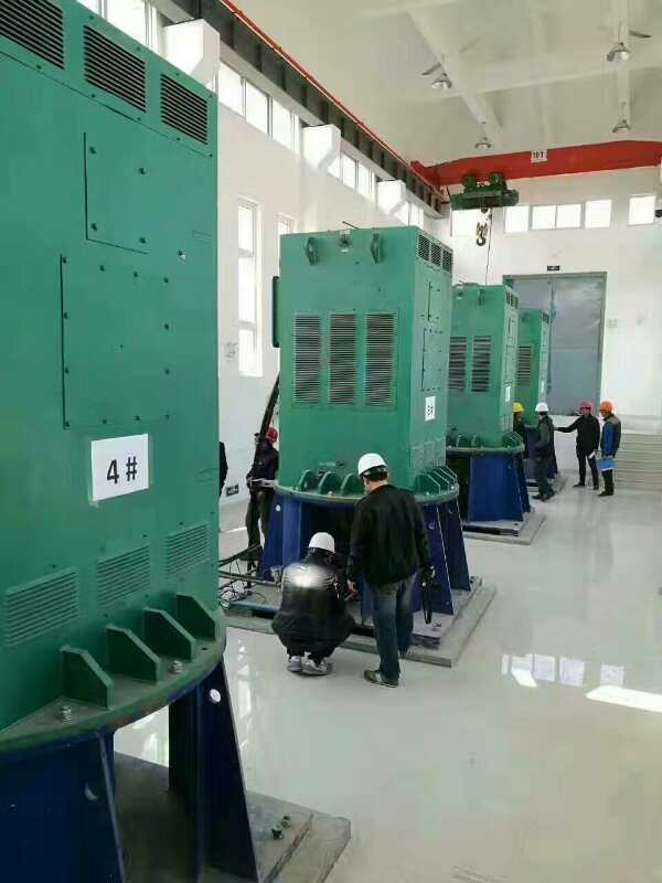 Y4503-6某污水处理厂使用我厂的立式高压电机安装现场