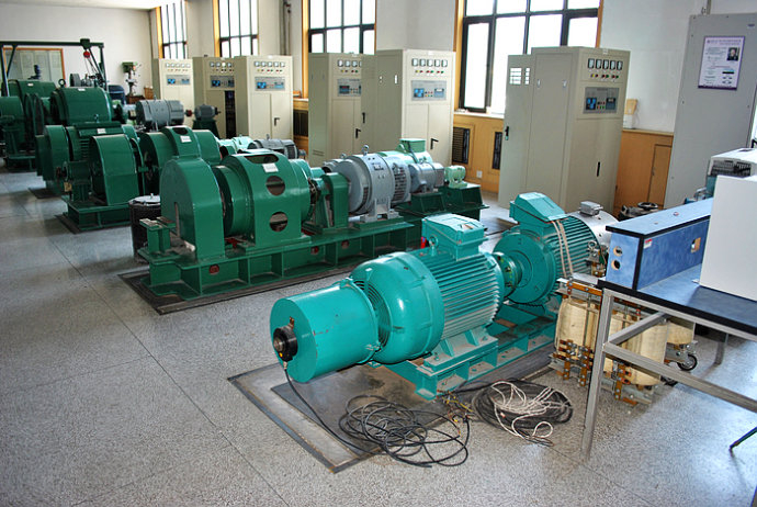 Y4503-6某热电厂使用我厂的YKK高压电机提供动力