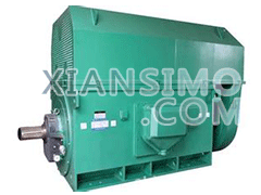 Y4503-6YXKK(2极)高效高压电机技术参数