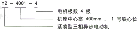 YR系列(H355-1000)高压Y4503-6三相异步电机西安西玛电机型号说明